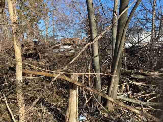 Testing again(6).jpg